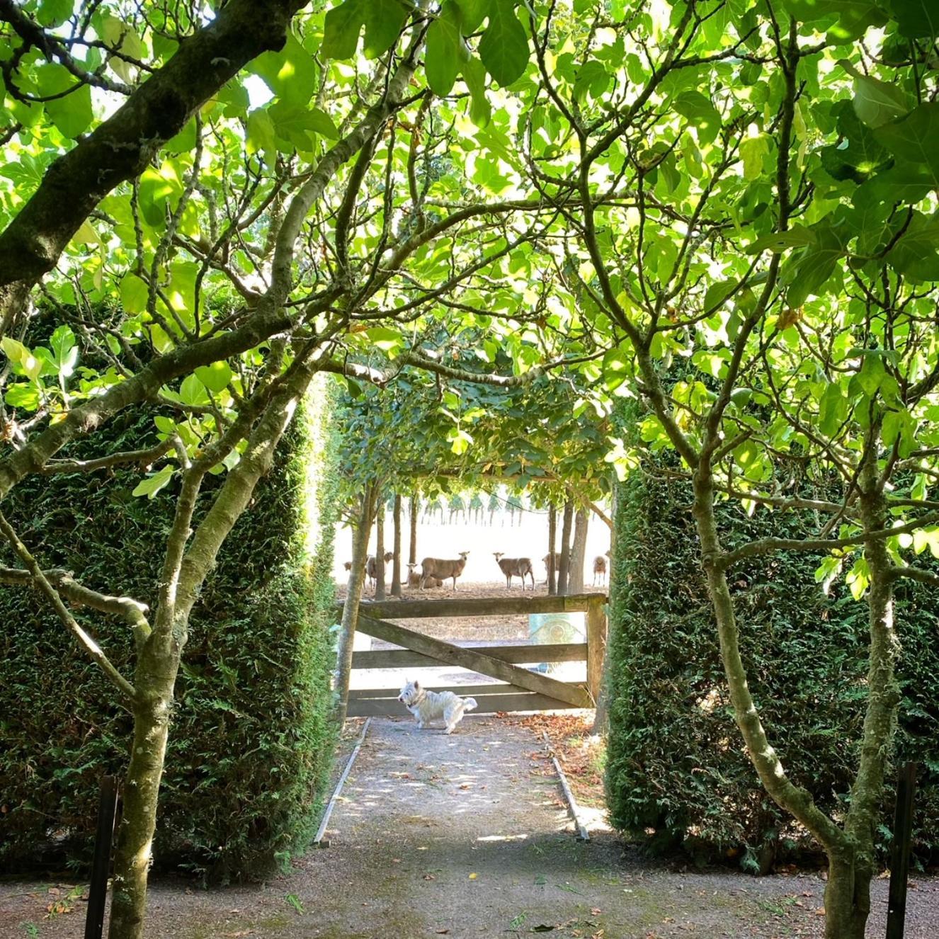 فيلا Stablehouse Garden Shed ماسترتون المظهر الخارجي الصورة